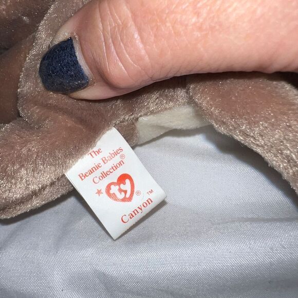 TY Original Beanie Baby "Canyon” - Picture 5 of 10